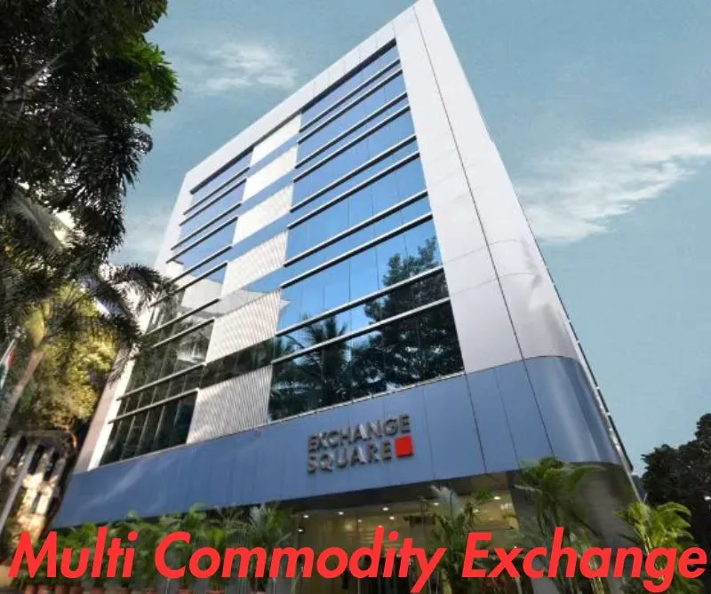 stock exchanges in India 
Multi-Commodity Exchange