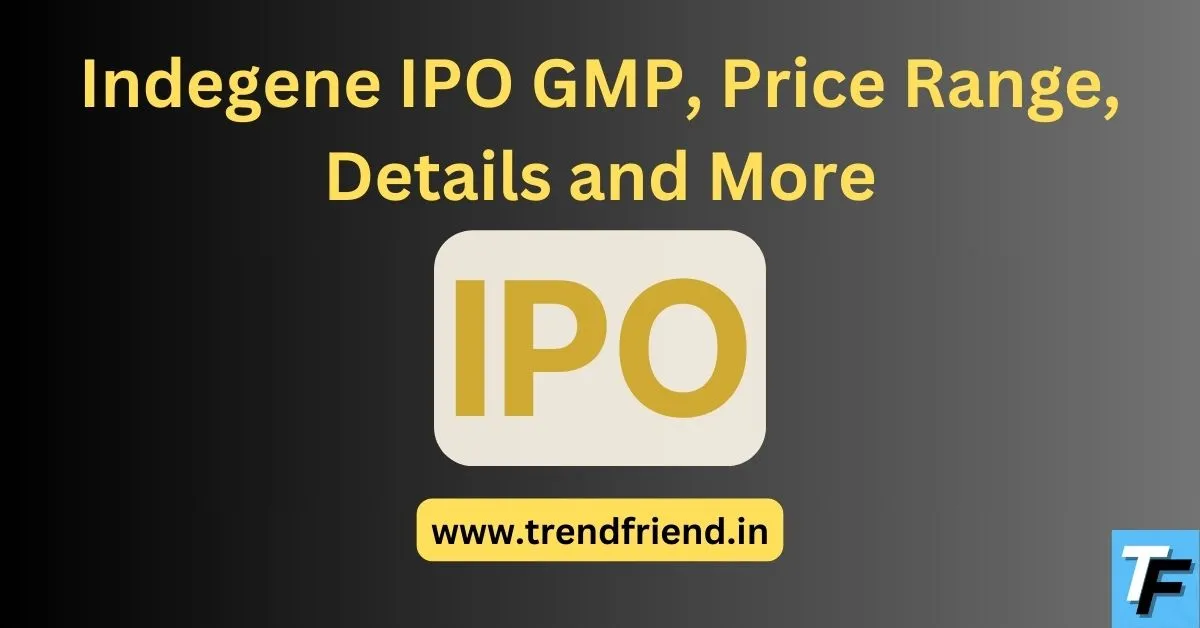 Indegene IPO GMP